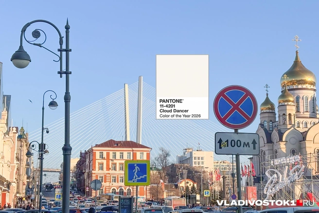 Источник: Елена Буйвол / VLADIVOSTOK1.RU