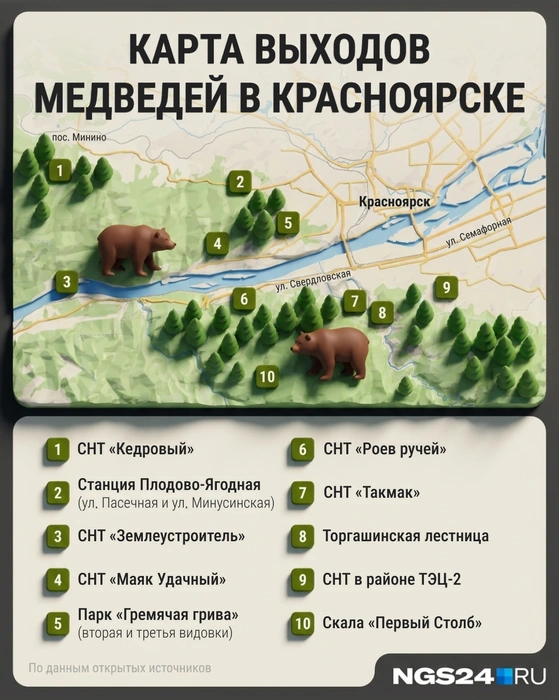 Где видели медведей или их следы в Красноярске и окрестностях к началу сентября | Источник: Мария Романова / Городские порталы