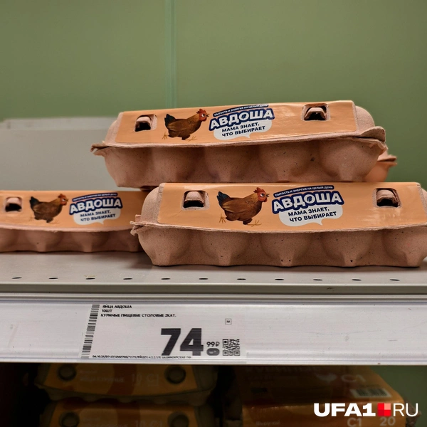 Источник: Булат Салихов / UFA1.RU