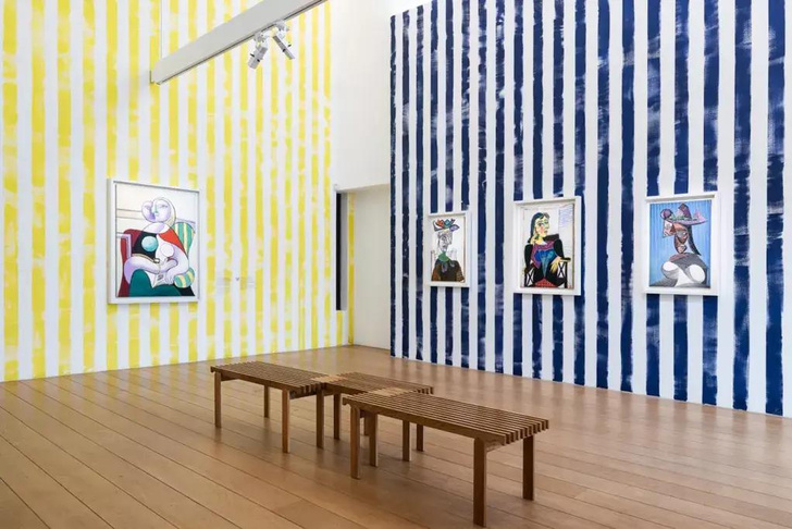 Выставка Пикассо в Париже с дизайном экспозиции от Пола Смита
