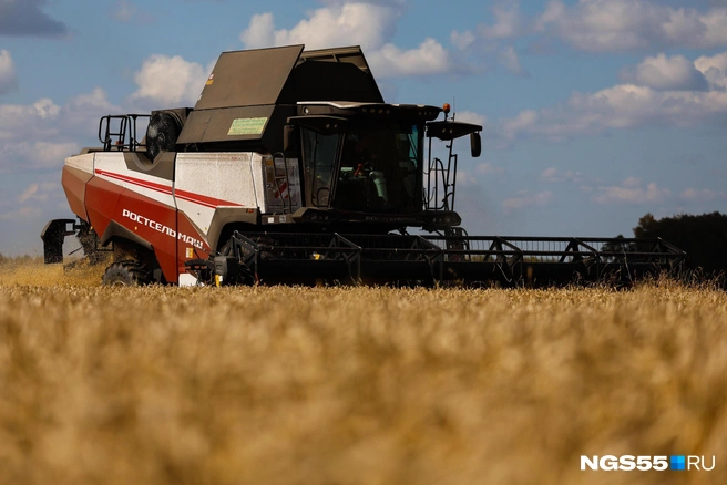 Некоторые фермеры вырастили зерно себе в убыток