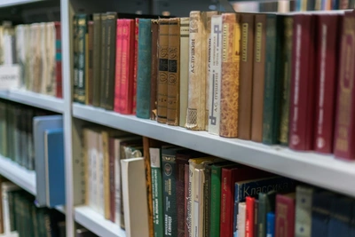 Куда сходить на Библионочь в Петербурге 18 апреля