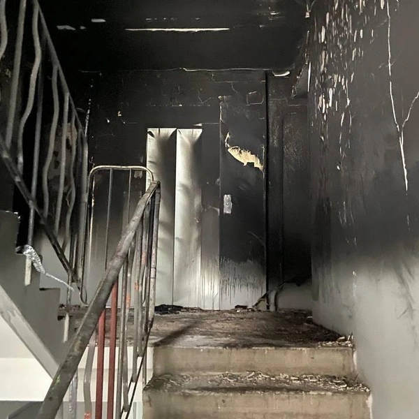 Источник: Официальный телеграм-канал прокуратуры Санкт-Петербурга