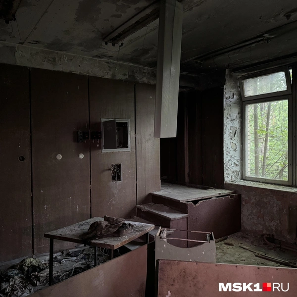 Источник: Алина Мельникова / MSK1.RU