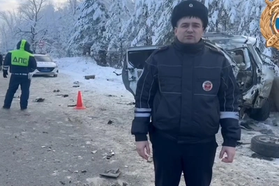 Семь человек пострадали в ДТП с грузовиком под Рязанью