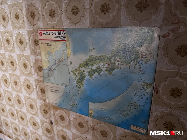 Источник: Алина Мельникова / MSK1.RU