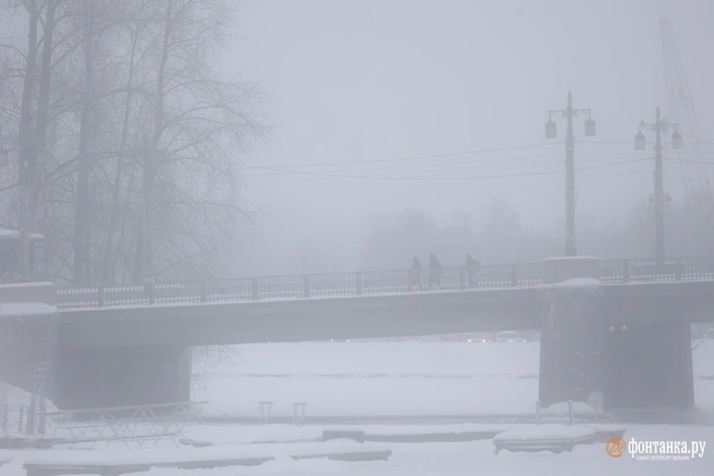 Из-за тумана видимость на дорогах значительно ухудшится | Источник: Сергей Михайличенко / FONTANKA.RU