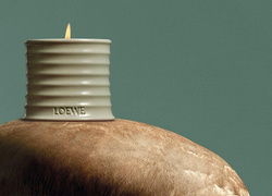 Loewe выпустили коллекцию свечей с ароматом грибов и фундука