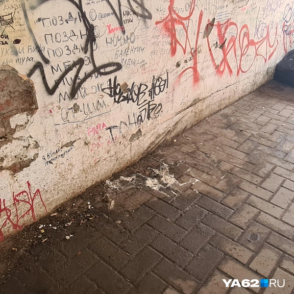 В итоге отхожим местом на Почтовой становятся арки | Источник: Светлана Коновалова / YA62.RU