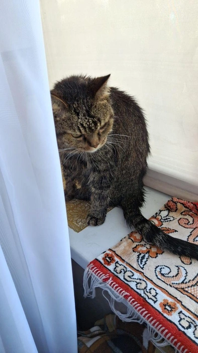 Кажется, он замышляет месть… | Источник: читатель 63.RU