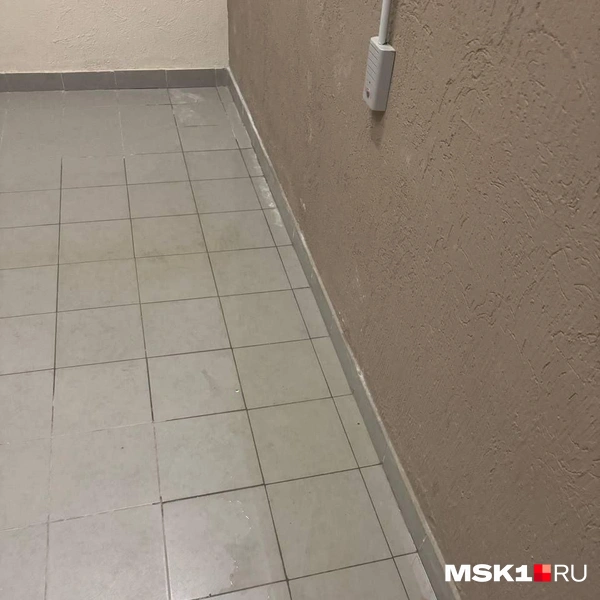 Источник: читательница MSK1.RU Светлана