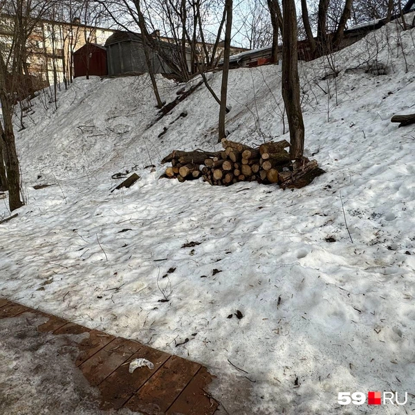 Хотя на снегу это выглядит не менее неприятно | Источник: Наталья Пальникова / 59.RU