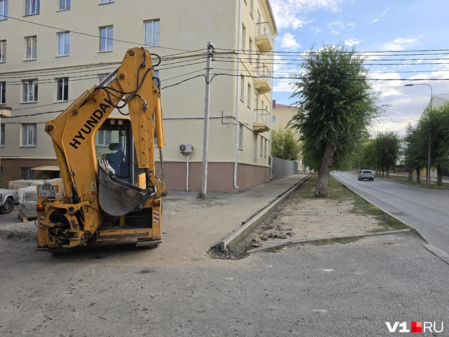 В мэрии уверяют: здесь планируют проложить поливочный водовод | Источник: Константин Завриков / V1.RU