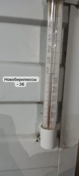 Источник: МЧС Красноярского края / T.me