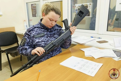 В Псковской области изъяли 24 единицы оружия за неделю