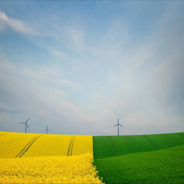 Германия | Источник: Andre Wulf / Minimalist Photography Awards 2025