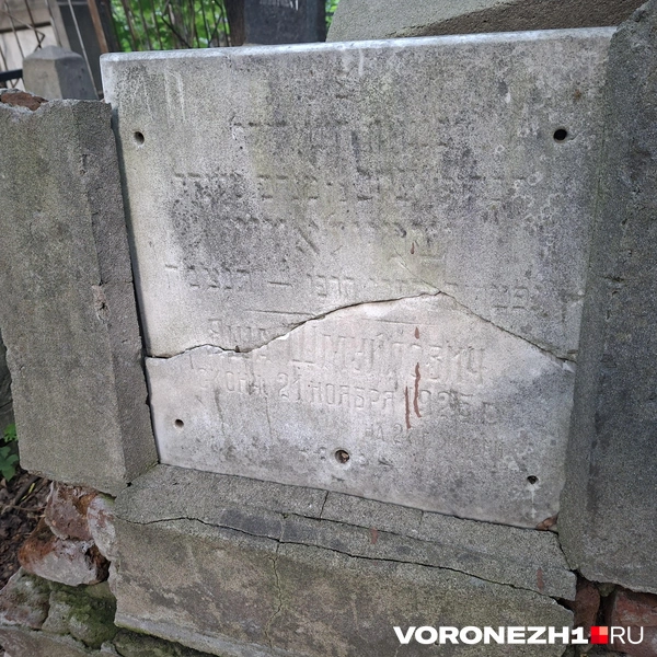 Источник: Алёна Воропаева / Voronezh1.ru