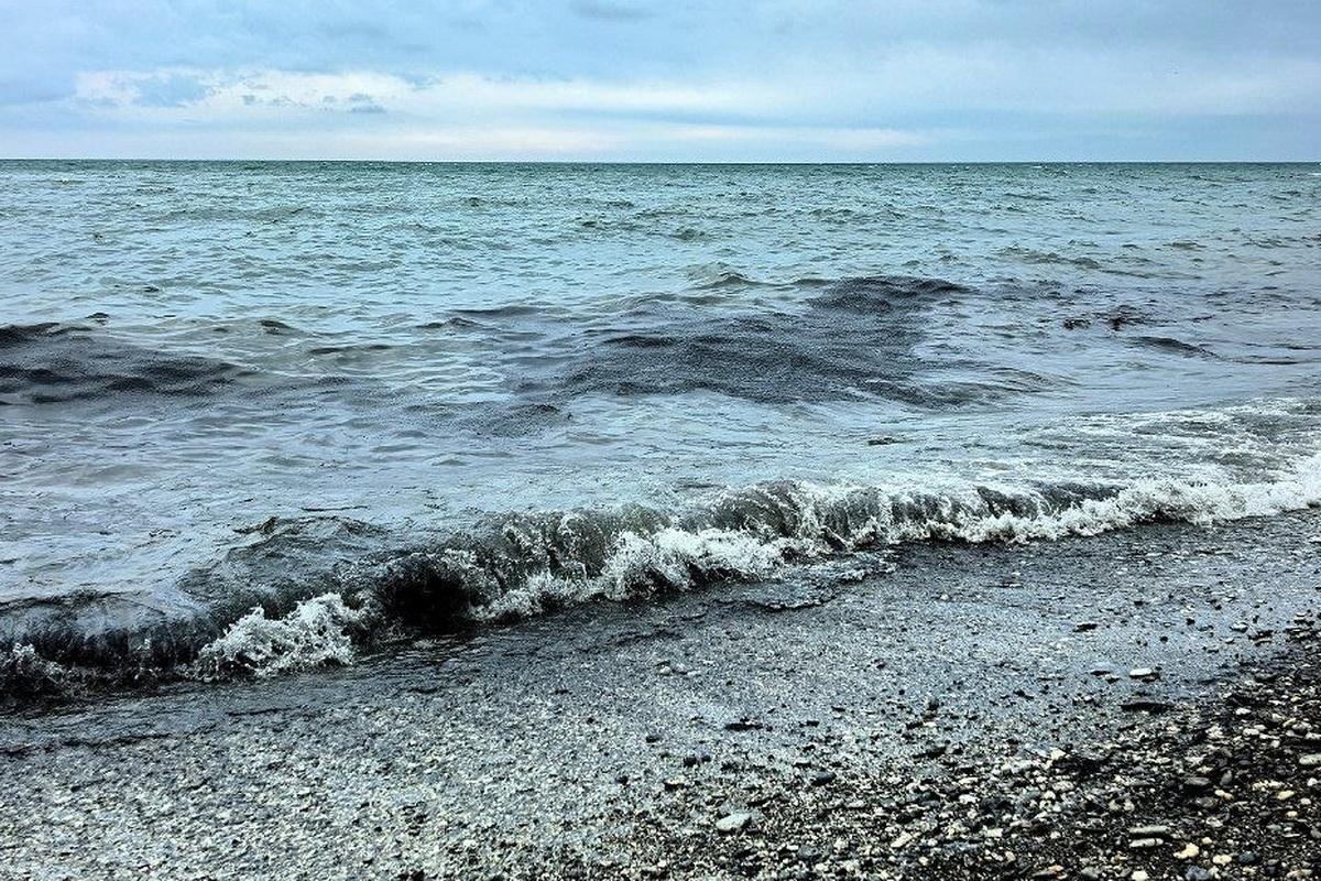 Месяц-два, и море само очистится. Что сейчас происходит на пляжах Туапсе и угрожает ли мазут летнему сезону