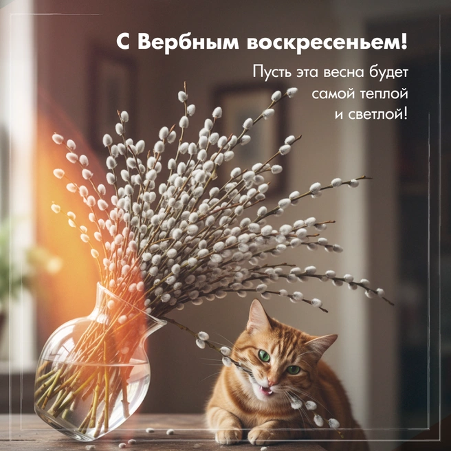 Источник: Городские медиа