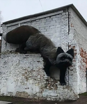 По стенам Риги ползает гигантская лиса