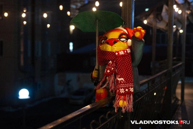 Источник: Елена Буйвол / VLADIVOSTOK1.RU