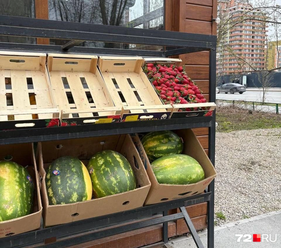 Арбузы и дыни в Тюмени в апреле&nbsp;— редкость. Эти плоды везут в областную столицу из южных стран, где уже весной вовсю идет первый урожай бахчевых | Источник: Мария Токмакова / 72. RU