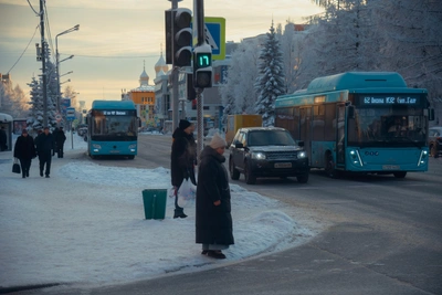 Потепление в Архангельской области на следующей неделе