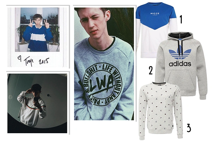 1. Свитшот, Topman. 2. Толстовка, adidas. 3. Свитшот, DC Shoes.