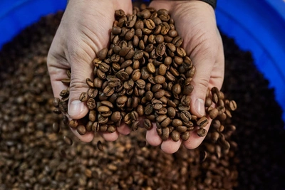 Kurgan residents brew more coffee at home as prices rise