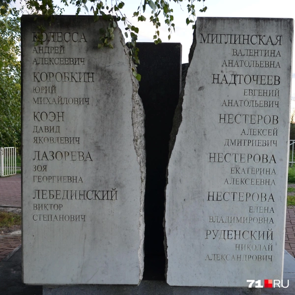 Источник: Максим Улитов / 71.RU