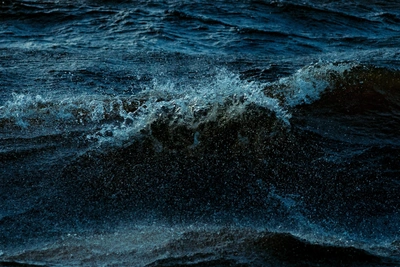 Уровень воды в дельте Северной Двины повысится из-за штормового ветра