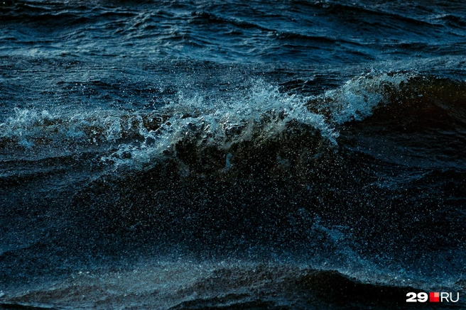 Ветер усилится до штормового | Источник: Иван Митюшёв / 29.RU