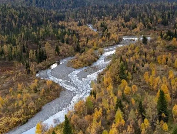 Источник: предоставлено АНО «Агентство по развитию туризма и продвижению Республики Коми»