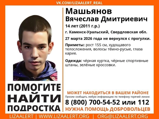 Источник: поисковый отряд «ЛизаАлерт» Свердловской области