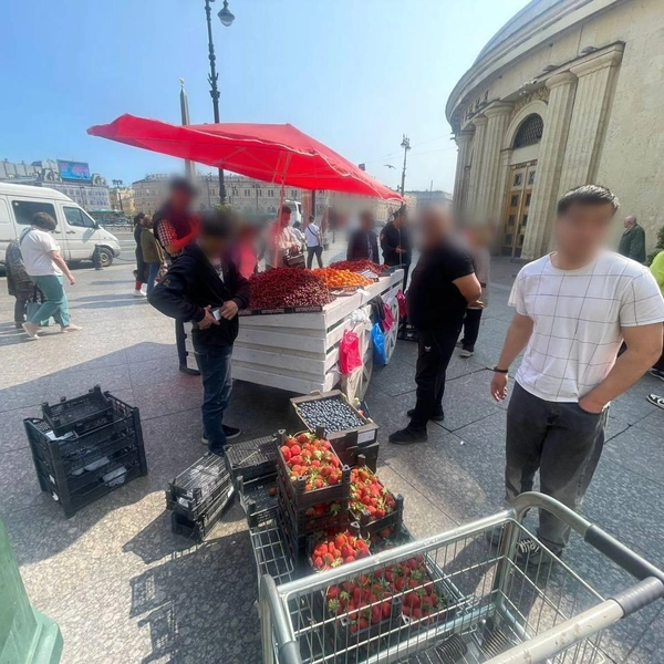 «Мероприятия будут продолжены». У разносчиков в центре Петербурга изъяли цветы, фрукты и сувениры на 1,5 млн рублей | Источник: Комитет по законности СПб