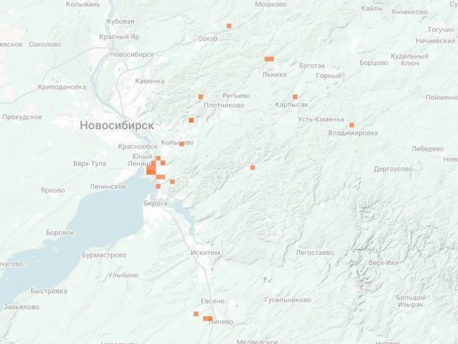 Чага часто встречается в сибирском регионе. | Источник: inaturalist.org