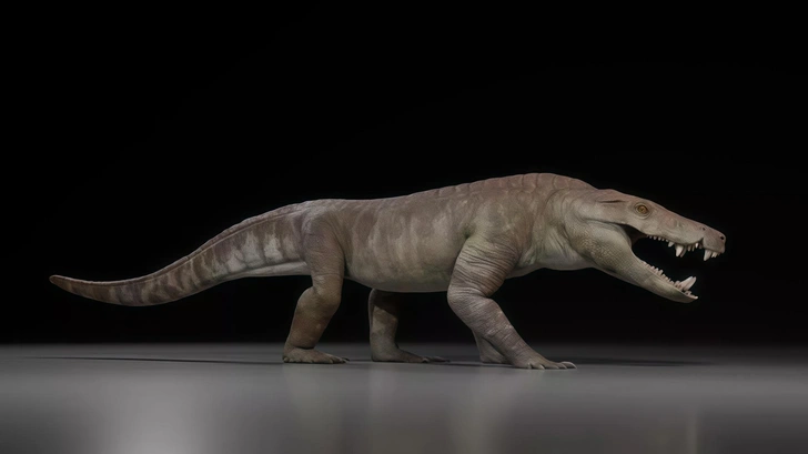 Kostensuchus atrox был представителем вымершей группы рептилий, родственных современным крокодилам и аллигаторам | Источник: Gabriel Diaz Yanten