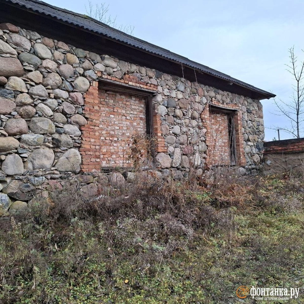 Источник: Ирина Багликова / «Фонтанка.ру»