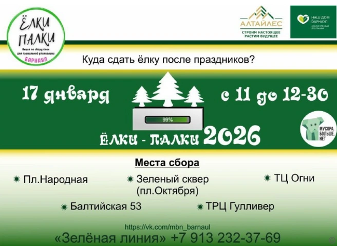 Куда сдать елку на переработку в Барнауле | Источник: Администрация Барнаула