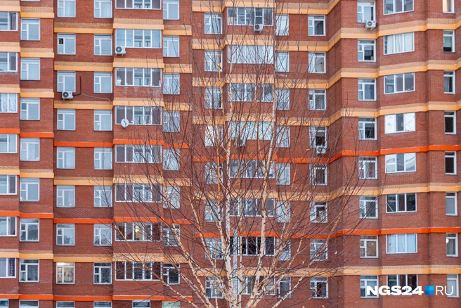 Человеческий улей (муравейник) | Источник: Мария Ленц / NGS24.RU