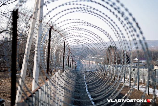 Он действовал по указке другого лица | Источник: Елена Буйвол / VLADIVOSTOK1.RU