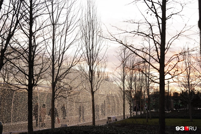 Деревья уже окончательно сбросили листву | Источник: Дарья Паращенко / 93.RU