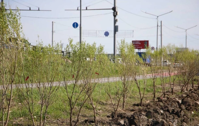 Источник: Пресс-служба городской администрации Кургана 