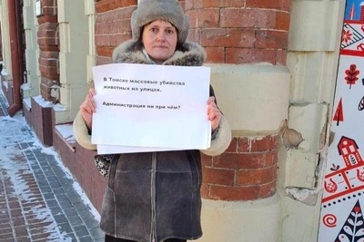 Tomsk Woman Holds Solo Picket Over Stray Dog Poisonings