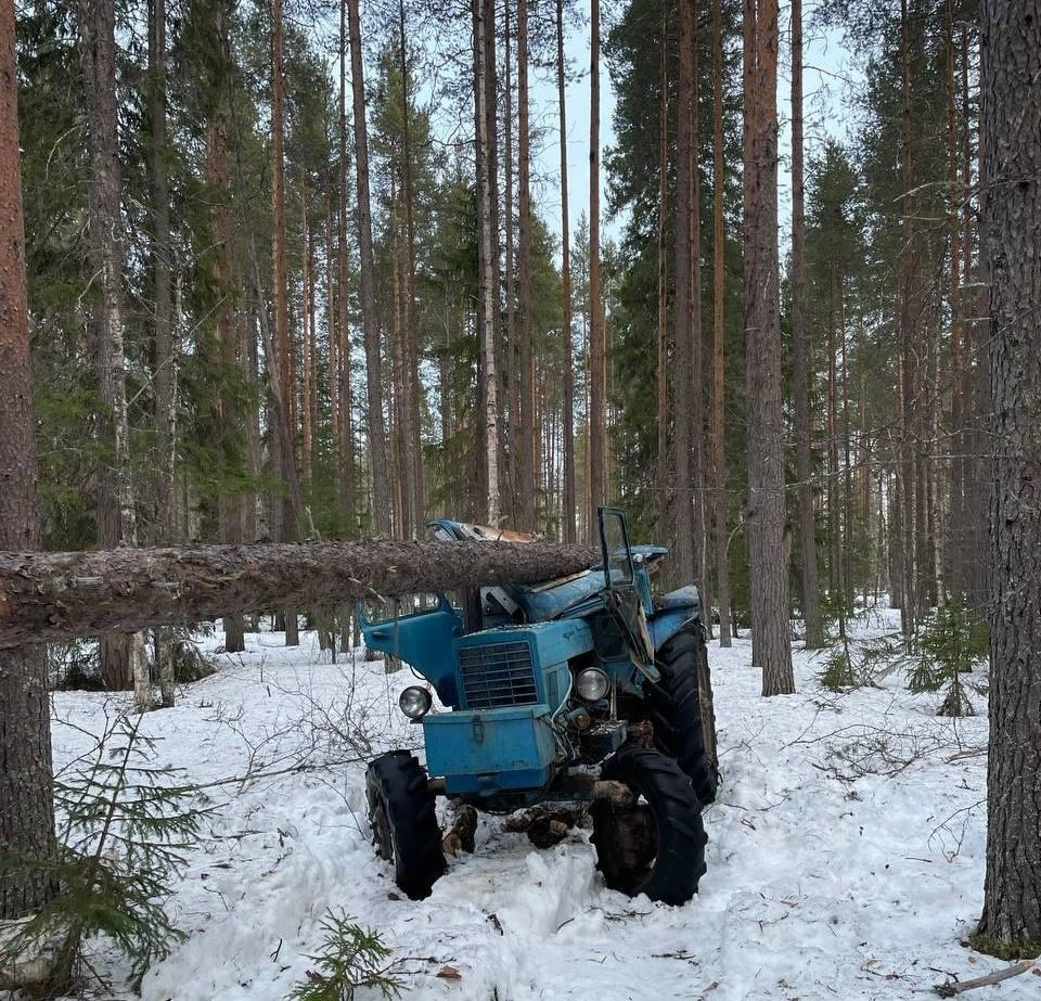 Источник: СУ СК России по Архангельской области и НАО