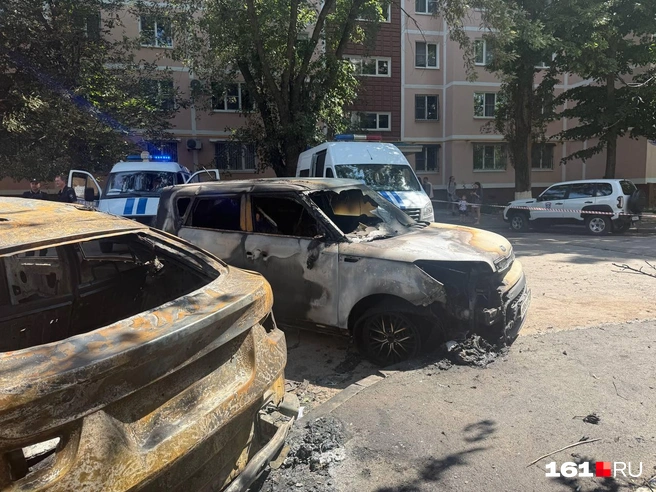 О сумме ущерба говорить пока рано, но невооруженным глазом видно, что машин сгорело на десятки миллионов рублей | Источник: Марина Рыбалкина / 161.RU