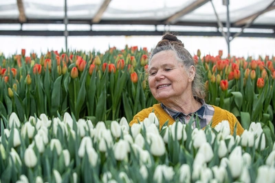Чем запомнились выходные в Татарстане