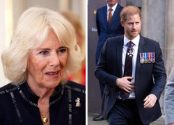 Блудный принц: что королева Камилла думает о возвращении Гарри в Великобританию