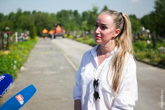 Источник: st.cherinfo.ru