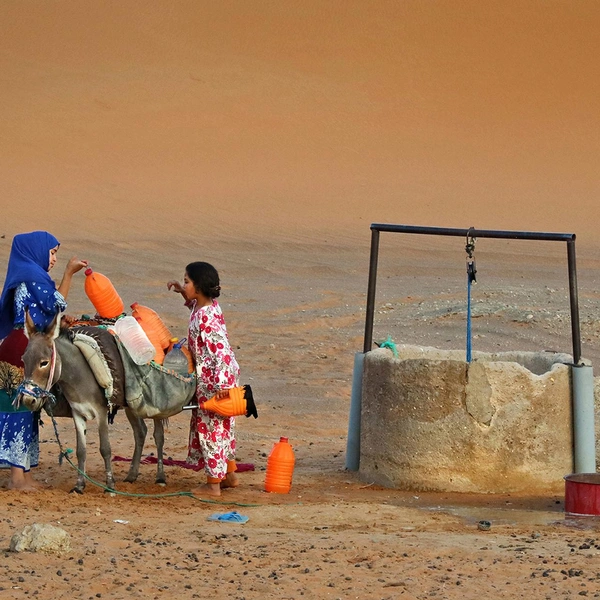 Источник: Md Rashid Un Nabi / World Food Photography Awards 2025